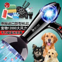 Pet shop dog hair dryer blowing hair artifacts quick drying in one bath special high power large dog dog