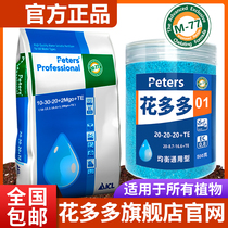 No 1 No 2 No 10 No 10 No 10 No 10 No 10 No 10 No 10 No 10