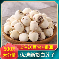 Hunan specialty Xiangtan lotus seed 500g natural core white lotus seed dry goods white lotus rice grinding Xianglian