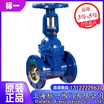 Shanghai standard one valve factory Z41X-16Q fire tap rod flange type soft seal gate valve DN150200