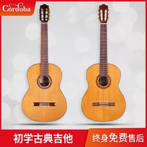 Cordoba Córdoba C5 C7-CD face single 38 inch classical acoustic guitar beginner students male and female introductory C7 SP