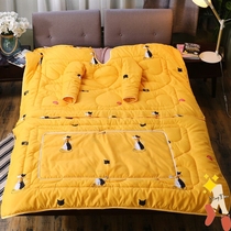 Can wear adult sleeping bag adult sleeping bag pajamas children Single Anti-kicking belt sleeve play mobile phone watch TV