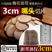 Dry plum blossom deer fluffy slices whole root pruning wine special medicinal materials whip men nourishing health traditional Chinese medicine dry tablets male