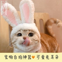 Cat hat headgear Teddy Bomei Fa fight puppy tremble funny hat pet dog hat headwear supplies