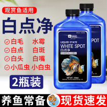 White point net fish medicine universal disease treatment of water mildew special treatment of small melon worms ornamental fish goldfish white spot disease special medicine