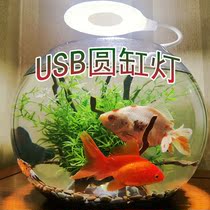 Fish tank clamp lamp USB aquarium lamp water straw lamp round cylinder suction lamp fish tank lamp lighting led waterproof grass tank lamp