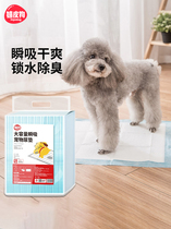 Pet Dog Dog Urine Mat Cat Diaper Teddy Bib Bear Urine Not Wet Water Suction Thickened Deodorized Large Urinals Toilet Supplies