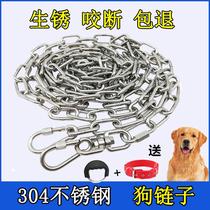 304 stainless steel dog chain Small dog traction rope Bite-proof pet chain Husky dog chain Samoyer chain