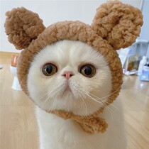 Cute bear ear cat headgear birthday dress up plush cat headgear hat engage small dog dog photo