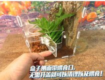 Acrylic reptile breeding box high box Sapphire gorgeous rainforest Spider ciliary horn guard Palace tree frog feeding mouth