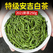 2021 New Tea Authentic Mingqian Gaoshan Anji White Tea Premium Boutique Rare Spring Tea Specialty Green Tea