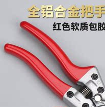 Citrus fruit tree pruning knife Pruning pruning strip handle Fruit scissors Fruit garden stainless steel scissors non-slip orange