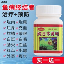 Japanese yellow powder ornamental fish fish medicine aquarium yellow powder rotten-tailed white spot disease panacea carp tropical fish medicine turtle medicine