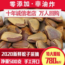 21 years of wild red pine nuts opening northeast original non-fried hand peeling extra large particles 500g bulk 1kg