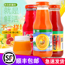 Xinjiang Shennei carrot juice light fasting beverage fruit and vegetable zero fat meal replacement 238ml*20 bottles SF