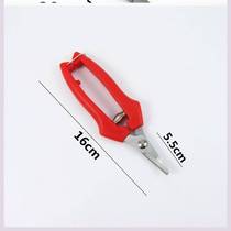 Scissors for greenhouse tomatoes grape fruit cutting pruning fruit cutting Orchard tree cutting picking and cutting