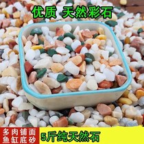 Natural multicolored flowers stone white stone paved fish tank landscape flower decoration Villa paving decoration