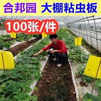 Special yellow board for sticky insect board greenhouse orchard vegetable garden tea garden fruit tree trap board double-sided blue board thrips stick insect board paper
