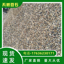 Natural Goose Pebble Marsh Filter Stone Family Ground Warm Special Bean Stones Find Flat Back To Fill Small Pebble Washed Stones
