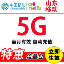  Shandong mobile data recharge 5G data package One month package daily package Monthly package Universal mobile phone charging traffic