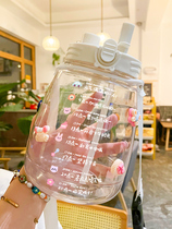  Big belly cup large capacity water cup female summer net celebrity sports kettle portable double drink high face value straw cup