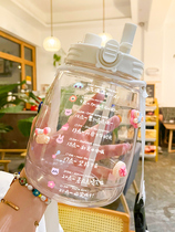 Big belly cup large-capacity Net red water cup girls summer sports kettle portable fitness double drink high-value suction tube Cup