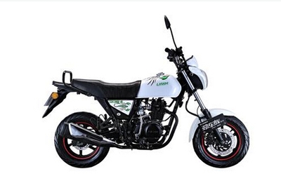 Motorcycle accessories LF100-C kid head engine full car pad
