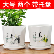 Flower pot ceramic clearance large medium white simple household green radish chlorophyll fleshy butterfly rand large with tray