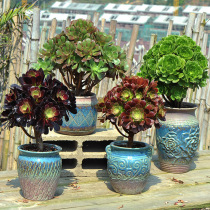 Special large master old pile pot retro fleshy pottery flower pot ceramic green plant creative indoor high potted bonsai