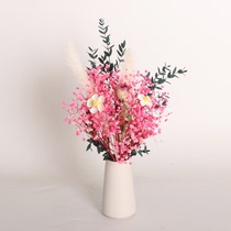Reed Stars Rose Eternal Flower Bouquet Living Room Desktop Balcony Decoration Ornament ins Dried Flower Net Red Gift