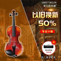 Professional college level ten test performance all handmade violin imported piano string horse bridge oil paint violin