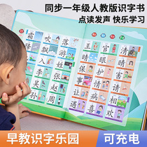 Children Read Literacy Books First Grade Early Education Learning Artifact Recognition Card Audio Preschool 3000 Word Kindergarten