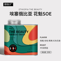 Wild Pigeon Ethiopian Italian Oiran SOE Boutique Black Coffee Bean Fresh Roasted Powder 200g Pot