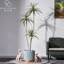 Large-scale simulation tropical plant millennium wood dracaena indoor clothing store bionic green plant fake tree floor potted plant