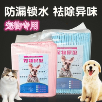 Pet diaper rabbit Dutch pig Chinchow Chinchow deodorant absorbent pad dog cat urine pad small pet cleaning supplies