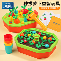 Knowing Bebal radish toy Mons intelligent early teaching baby color cognitive teaching teaching 1 - 2 years old exercise fingers