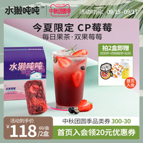 (Daily fruit tea) Otter tons of super instant fruit tea block without sucrose Strawberry Blueberry freeze-dried cold and hot double bubble