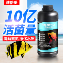 Rapid nitrifying bacteria fish tank water purifying agent aquarium digestion live bacteria liquid fish fish fish water quality stabilizer