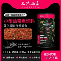 Three small fish tropical fish food guppies feed small fish fish fish food ornamental fish Betta red fish traffic light micro particles