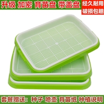 Bean sprouts sprouting basin with cover encrypted planting plate balcony planting vegetable plastic sprouts nursery plate soilless cultivation vegetable