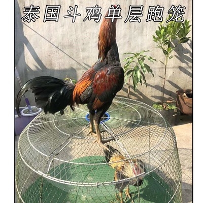 Cockfighting cage special exercise competition cockfighting fence training supplies single-layer cover household chicken running cage