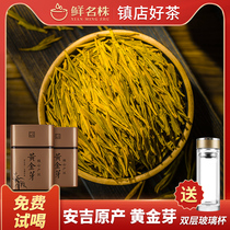 Gift Box Golden Bud Premium Tea 2021 New tea Treasure Green tea tea Anji authentic white tea Golden leaf