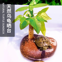 Tortoise stone drying platform natural stone Brazilian tortoise tank fish tank Sunback Stone rest turtle platform to avoid the house hole