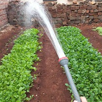 Agricultural shower nozzle watering flowers watering vegetables sprinkler 4 points 6 points plastic shower head sprinkler mushroom nozzle