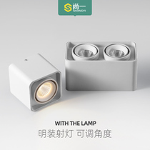 led light mounted spotlight ceiling type living room household adjustable angle without main light lighting ceiling lamp double head DART Light
