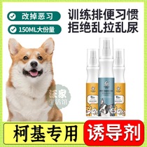 Kokie Special Dogs Upper Toilet Pinpoint Inducers Training Lapoo Pet Outdoor To Prevent Pull Poop Guide Lure