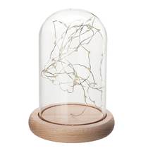 Glass Dome Bell Jar Cloche Display Wooden Base With Fairy LE