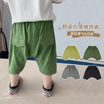 Baby Halen pants shorts 2022 Summer boy Seven Pants Loose Baby Boy Casual Down Pants Big PP Pants