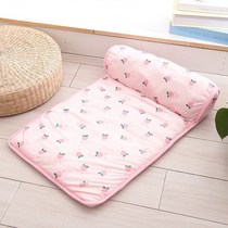 Pet mat cat dog summer summer sleep cooling heat prevention cold mat ice mat non-slip dog mat ice silk mat