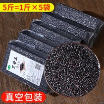 Northeast Black Rice 5 Catty Rice New Goods Heilongjiang Farmhouse Purple Fragrant Rice Coarse Grain 5 Grain Cereals Porridge Sticky Rice 5 Chang